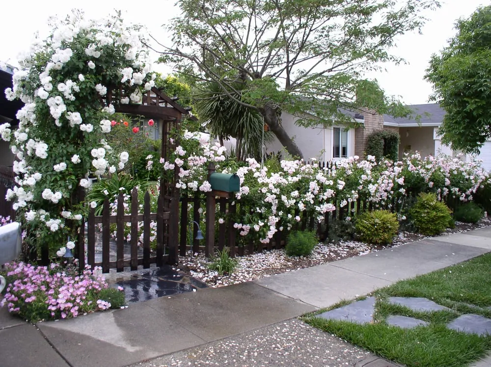 Custom garden landscaping in S San Francisco, CA - Bells and Biddle Landscaping
