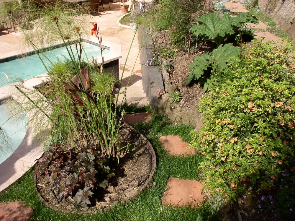 Local landscape installation experts serving S San Francisco, CA - Bells and Biddle Landscaping