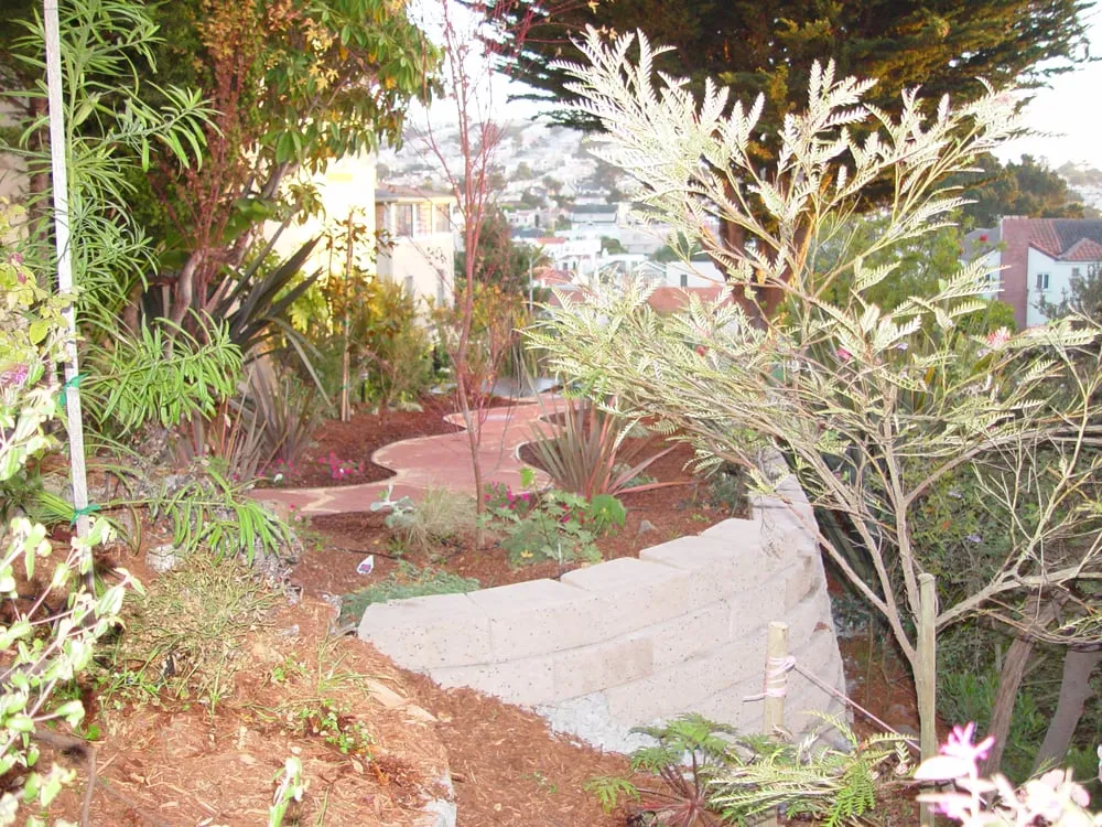 Professional landscape design for homes in S San Francisco, CA by Bells and Biddle Landscaping