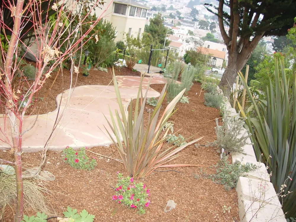 Custom lawn care service experts serving S San Francisco, CA - Bells and Biddle Landscaping