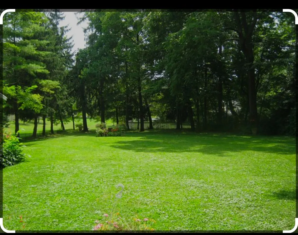 Reliable lawn mowing service experts serving Pelzer, SC - Bells grass service