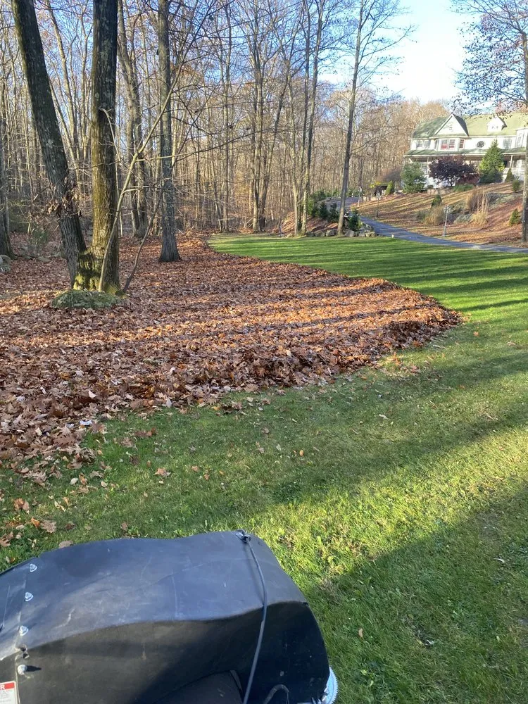 Professional yard cleanup service with custom design in Sussex, NJ by Bell'S Landscaping & Design