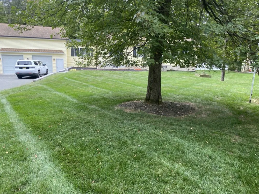 Affordable yard cleanup service in Sussex, NJ - Bell'S Landscaping & Design