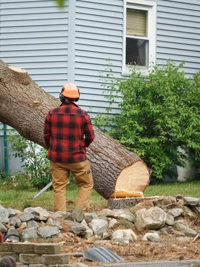 Local garden landscaping in Charleston, SC by Bells Landscaping
