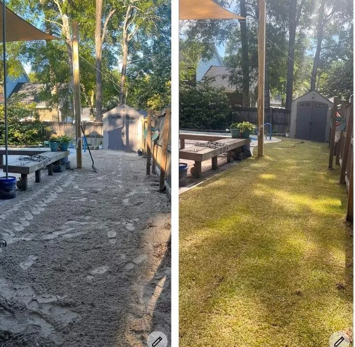 Local lawn care service experts serving Charleston, SC - Bells Landscaping