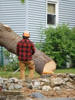 Bells Landscaping Logo