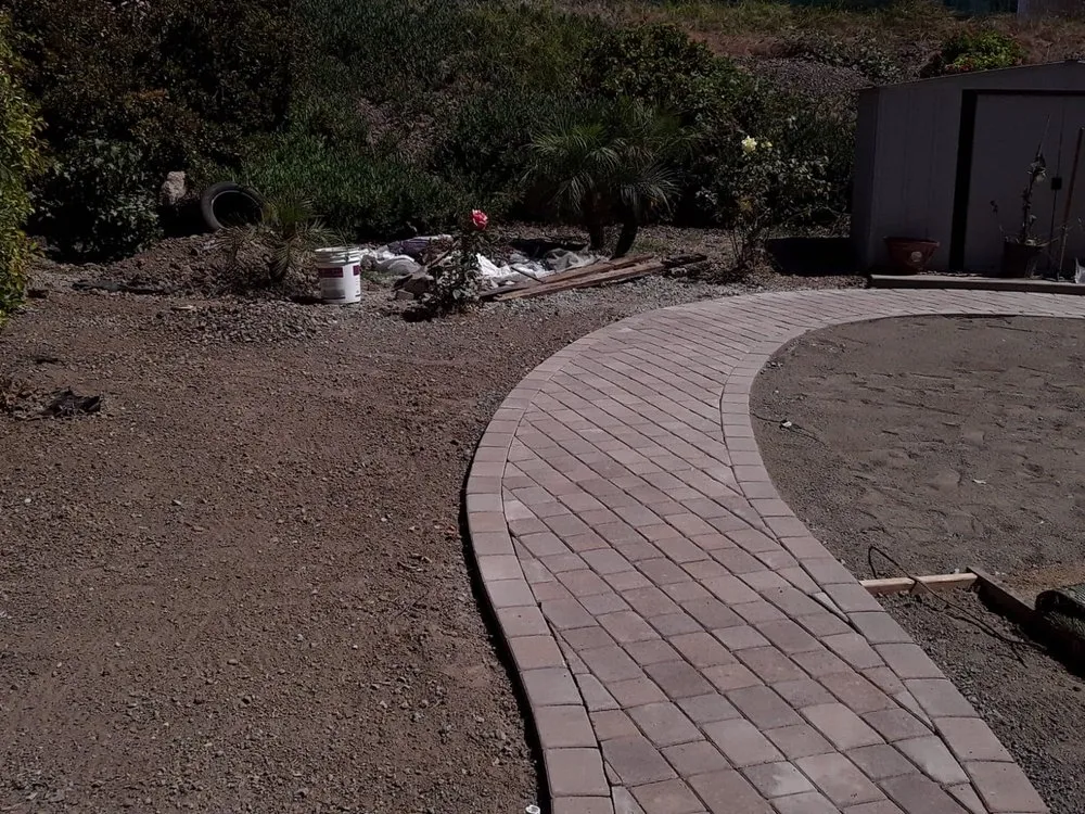 Expert yard cleanup service in San Diego, CA - Bell's Landscaping