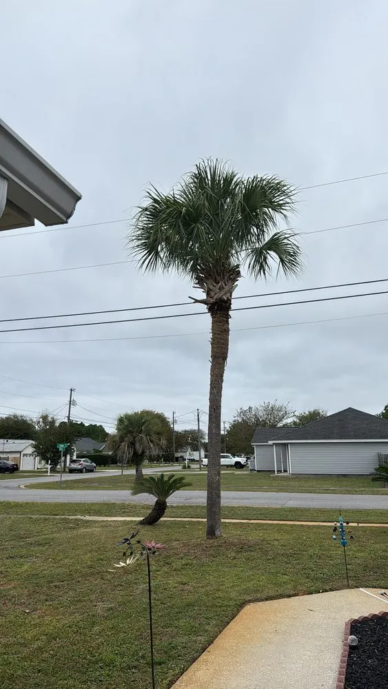 Expert landscape installation experts serving Navarre, FL - Bell's Lawn Care