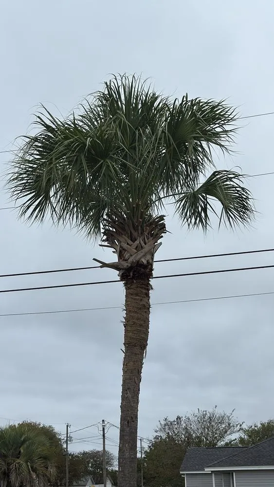 Professional lawn mowing service for residential properties in Navarre, FL by Bell's Lawn Care