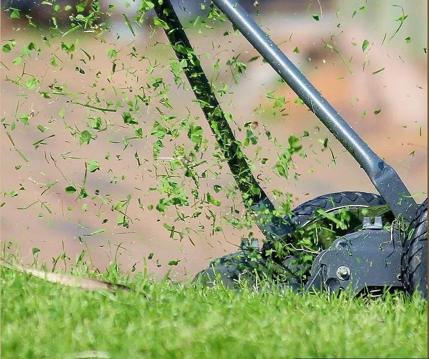 Reliable landscape installation with custom design across Navarre, FL - Bell's Lawn Care