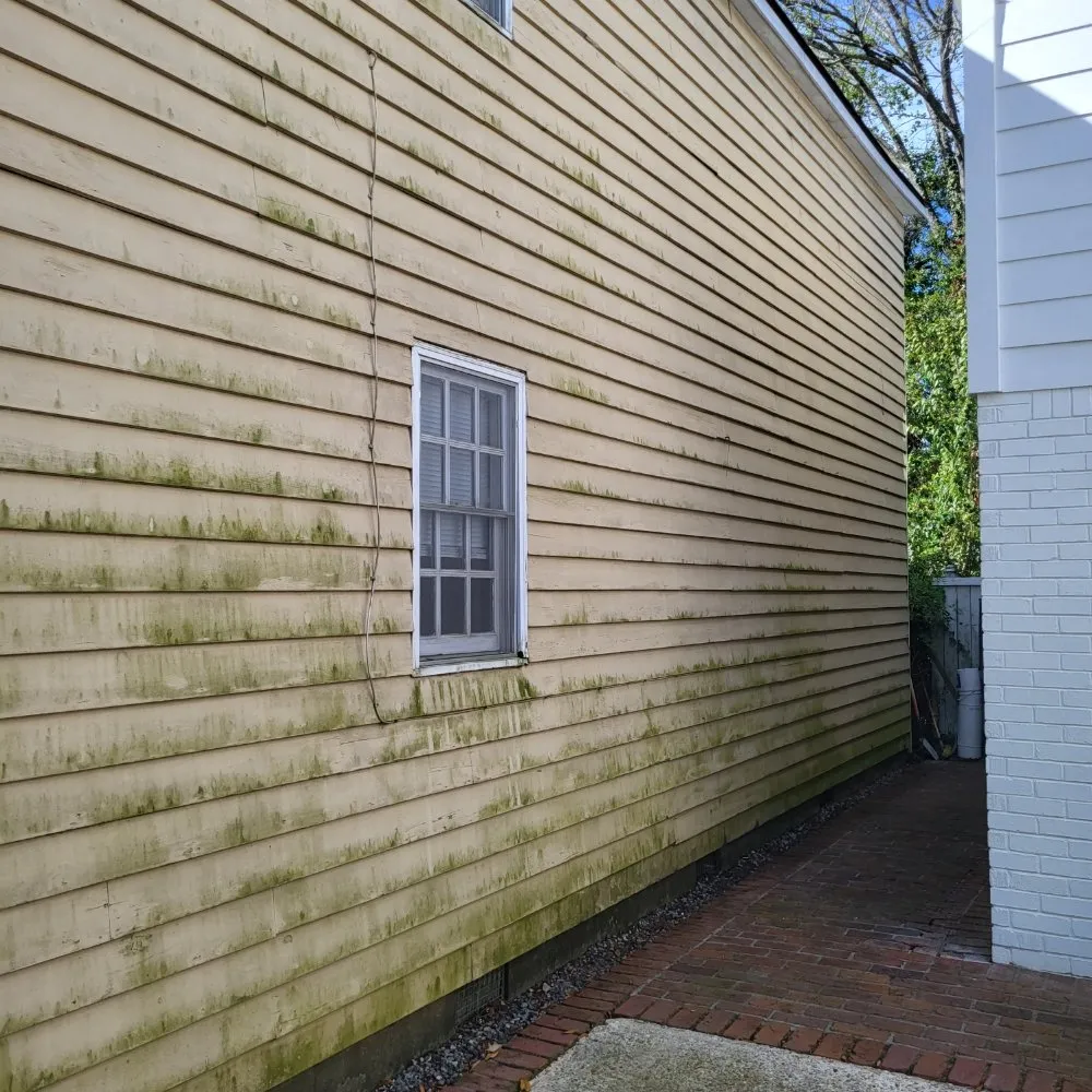 Local landscape installation in Ladson, SC by Bells Pressure Washing & More