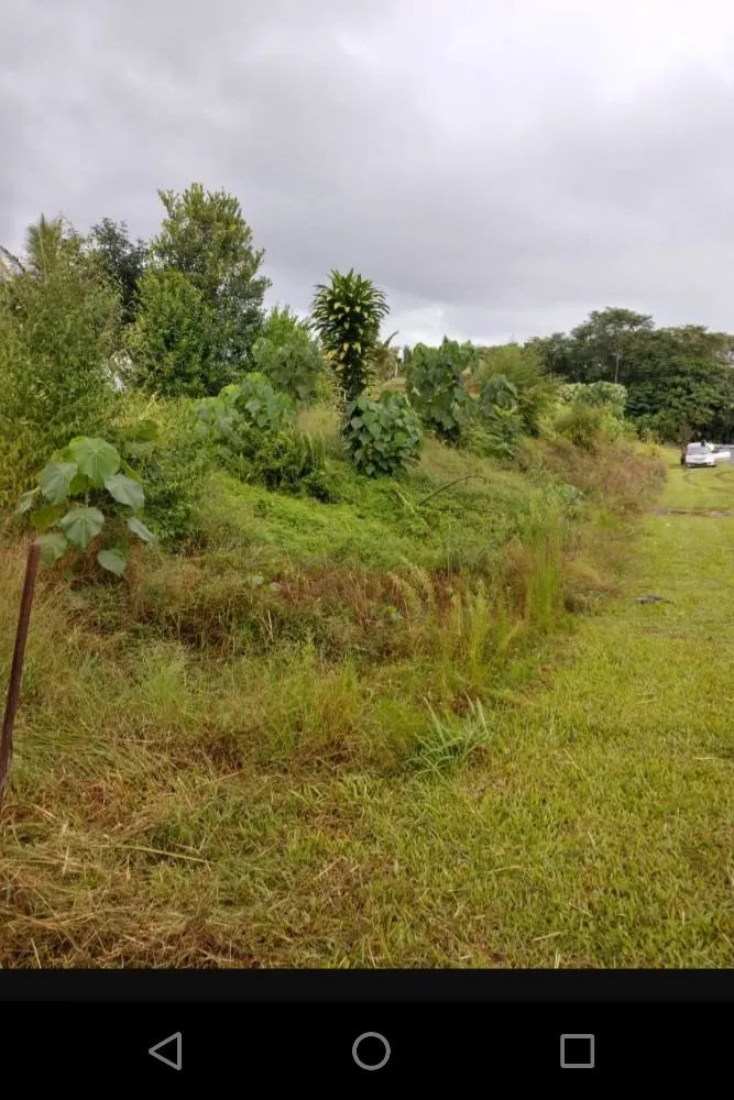 Top-rated landscape installation with custom design in Keaau, HI by Bell's Roots 2 Roof