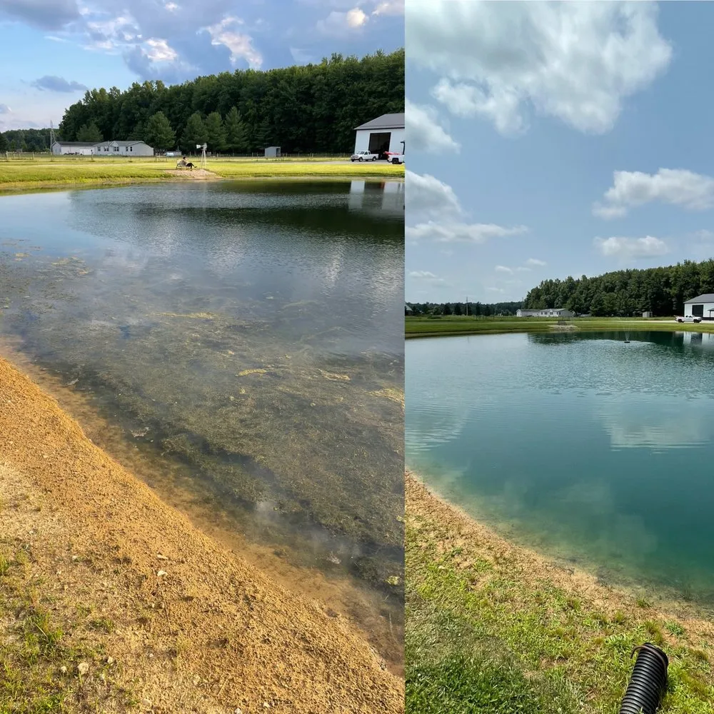 Professional yard cleanup service for year-round maintenance across Moores Hill, IN - Bellus Aquatic Solutions