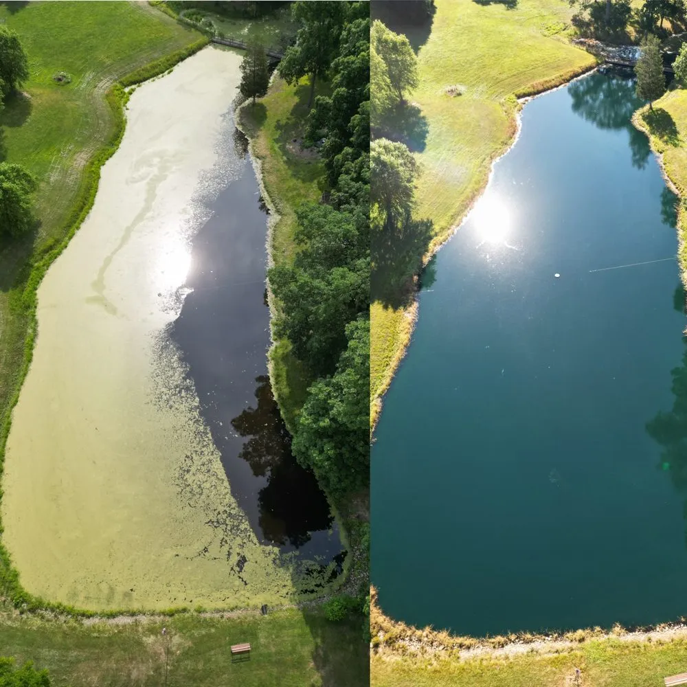 Trusted yard maintenance in Moores Hill, IN by Bellus Aquatic Solutions