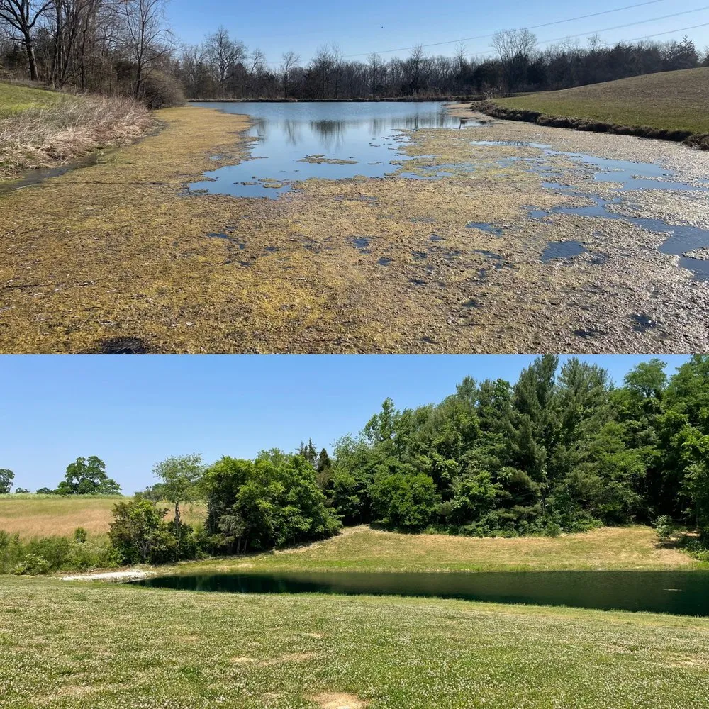 Professional landscape design in Moores Hill, IN by Bellus Aquatic Solutions