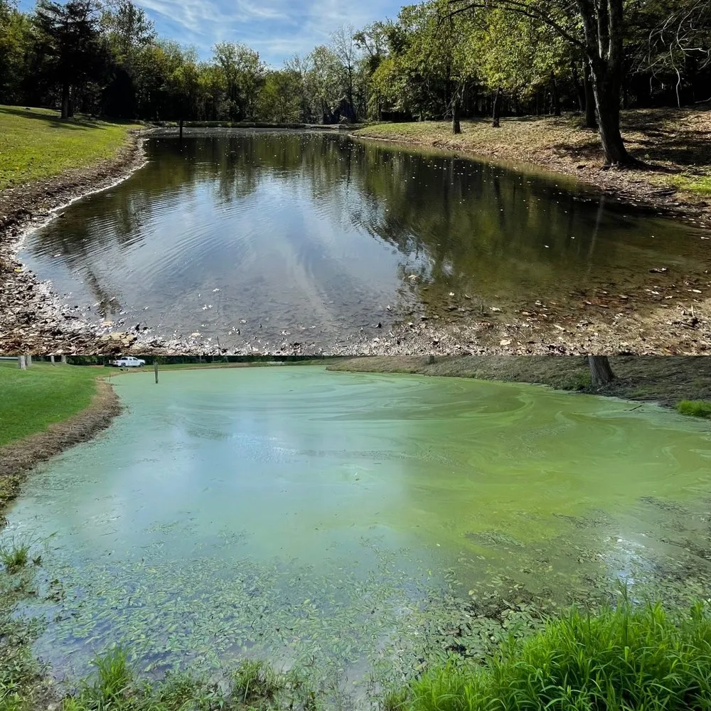 Reliable landscaping services experts serving Moores Hill, IN - Bellus Aquatic Solutions
