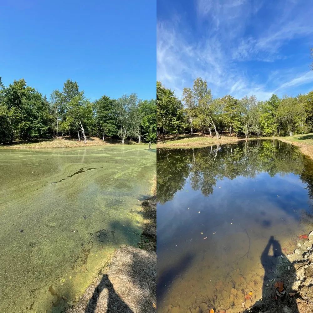 Expert residential landscaping for outdoor upgrades across Moores Hill, IN - Bellus Aquatic Solutions