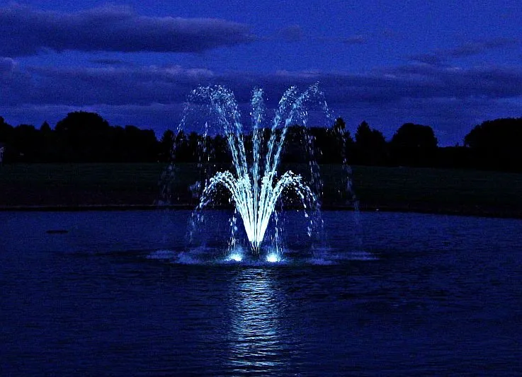 Reliable yard cleanup service in Moores Hill, IN - Bellus Aquatic Solutions