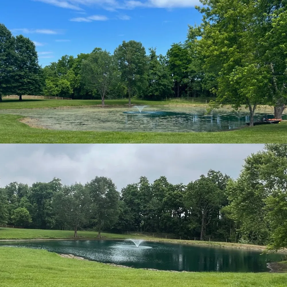 Local landscape design with custom design across Moores Hill, IN - Bellus Aquatic Solutions