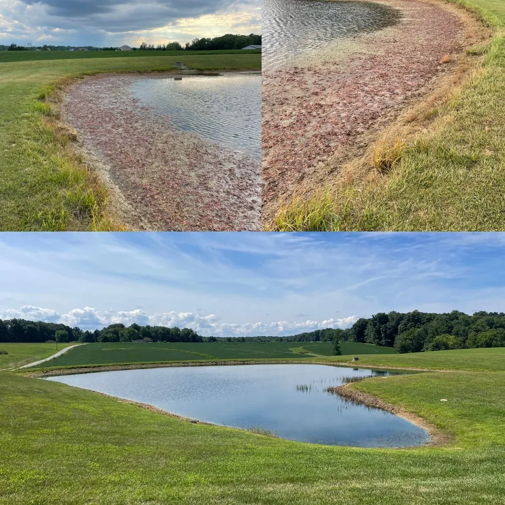 Professional yard maintenance experts serving Moores Hill, IN - Bellus Aquatic Solutions