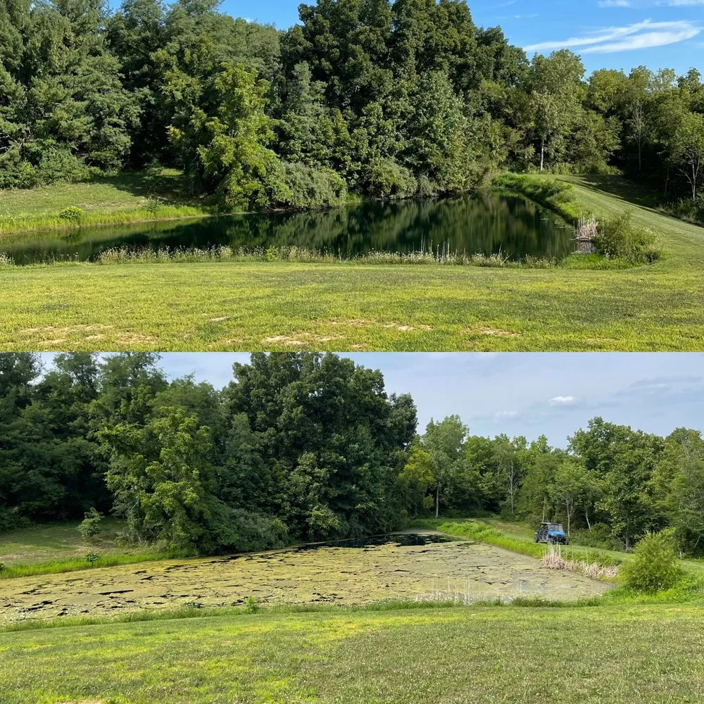 Expert lawn care service in Moores Hill, IN by Bellus Aquatic Solutions