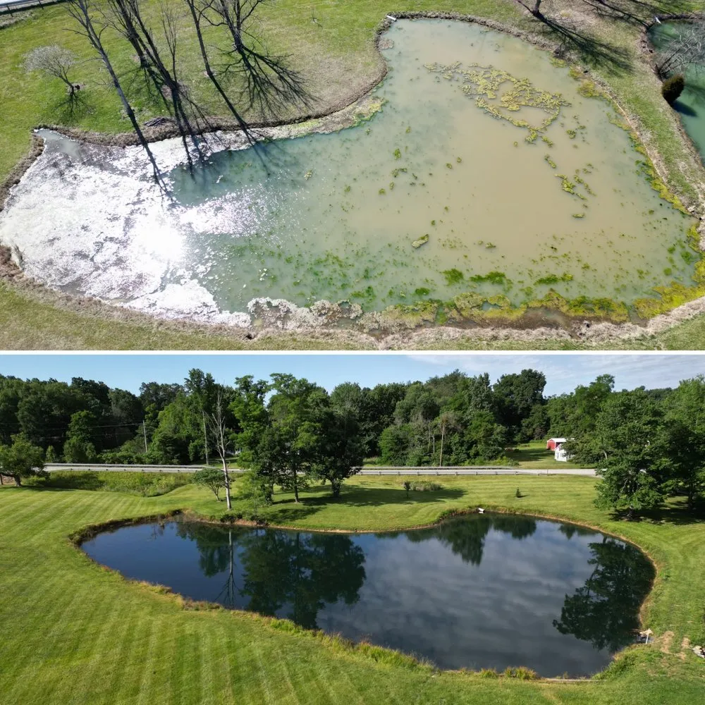 Top-rated lawn care service in Moores Hill, IN by Bellus Aquatic Solutions