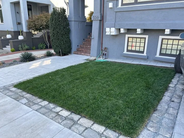 Reliable landscaping services in San Rafael, CA by Belmon Landcape