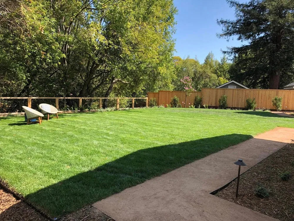 Affordable yard cleanup service in San Rafael, CA - Belmon Landcape