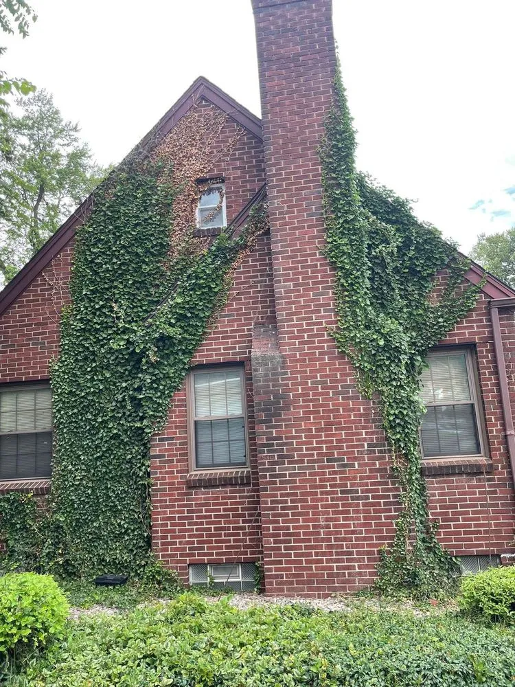 Custom yard maintenance for year-round maintenance in Buffalo, NY by Belmont Landscape