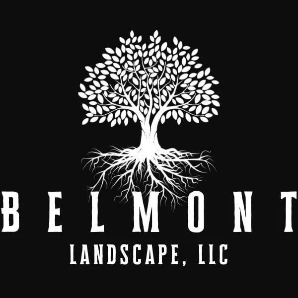 Expert garden landscaping for outdoor upgrades across Buffalo, NY - Belmont Landscape