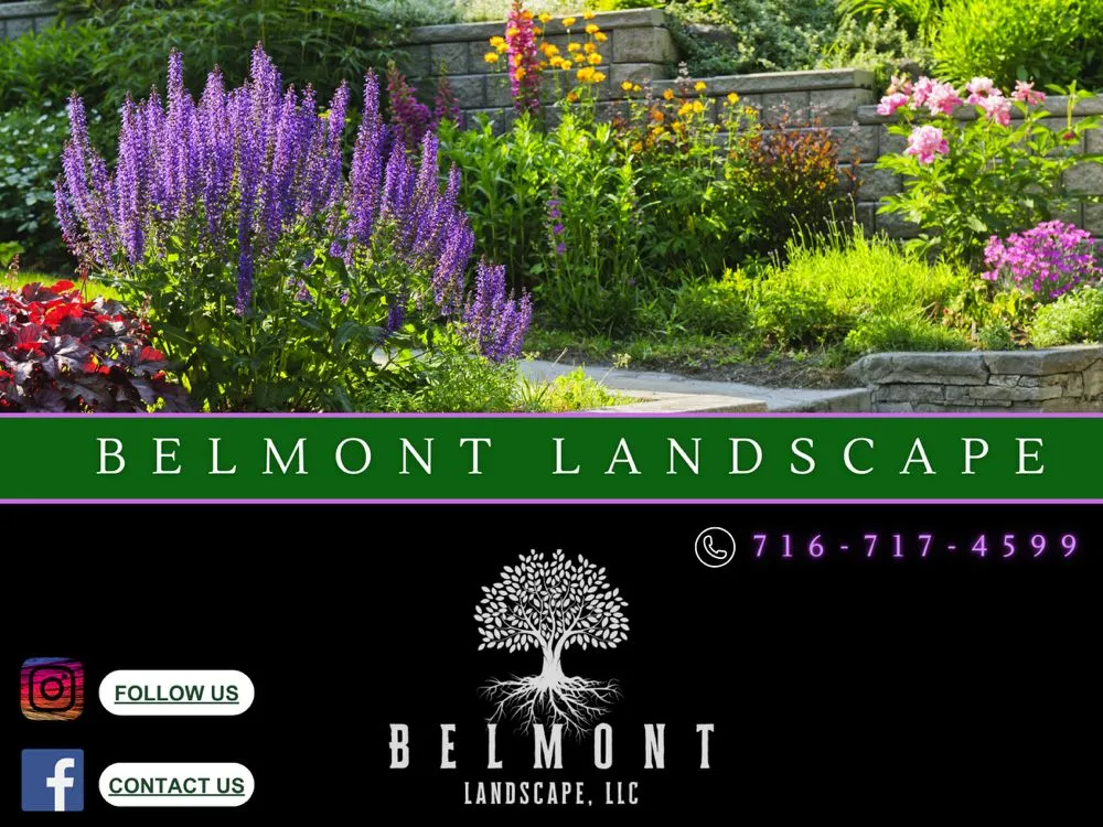 Reliable yard maintenance for year-round maintenance across Buffalo, NY - Belmont Landscape