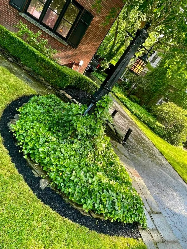 Top-rated landscape design for year-round maintenance across Buffalo, NY - Belmont Landscape