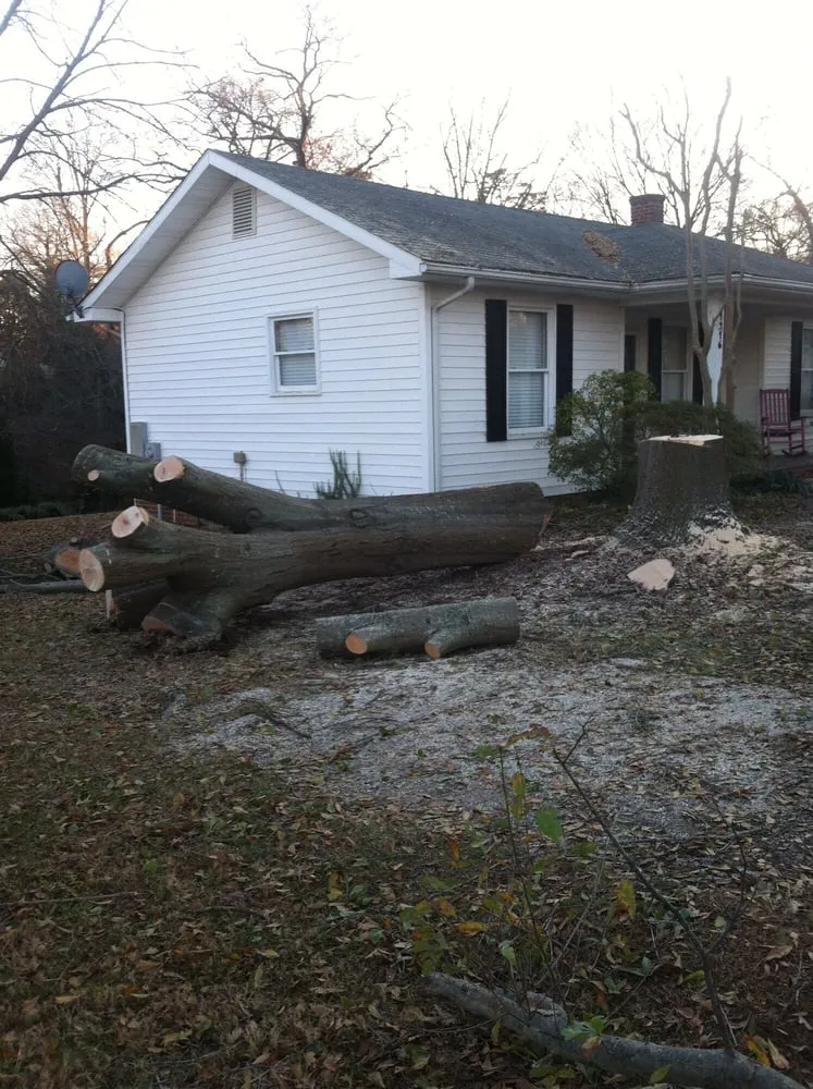 Top-rated landscaping services in Belmont, NC - Belmont Tree and Landscaping