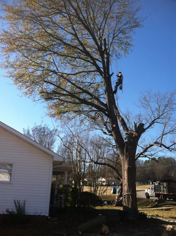 Professional lawn care service experts serving Belmont, NC - Belmont Tree and Landscaping