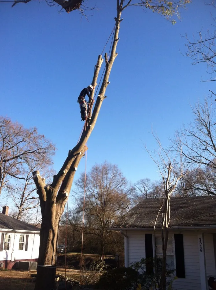 Professional lawn care service for outdoor upgrades in Belmont, NC by Belmont Tree and Landscaping