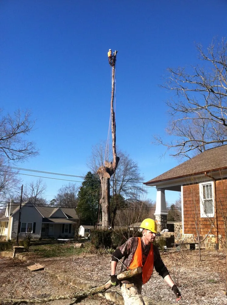 Top-rated lawn care service experts serving Belmont, NC - Belmont Tree and Landscaping