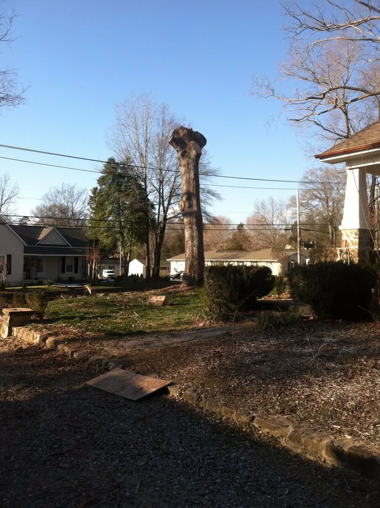 Local garden landscaping in Belmont, NC - Belmont Tree and Landscaping