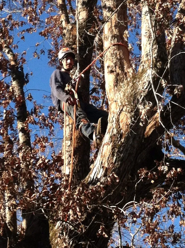 Top-rated landscape installation for beautiful yards in Belmont, NC by Belmont Tree and Landscaping