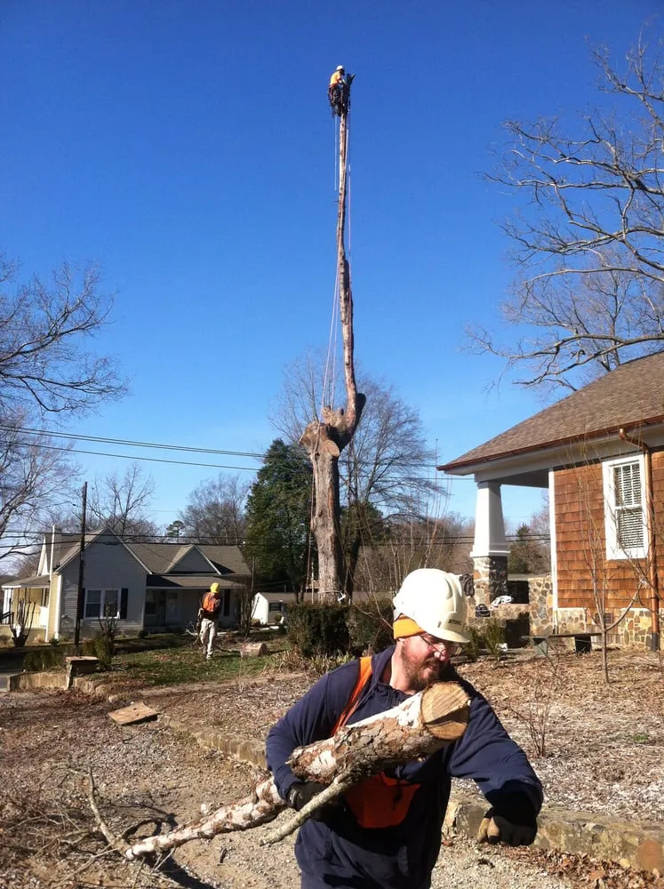 Trusted landscape installation in Belmont, NC - Belmont Tree and Landscaping