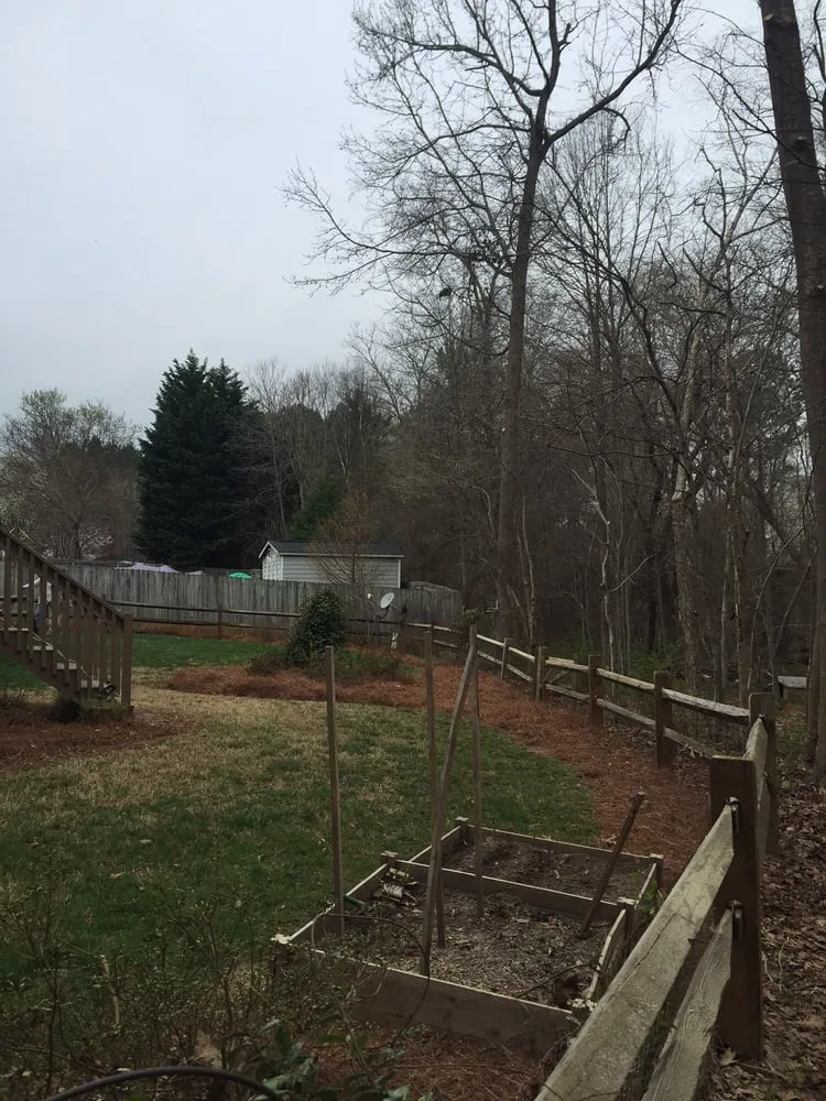 Custom yard cleanup service for homes across Belmont, NC - Belmont Tree and Landscaping