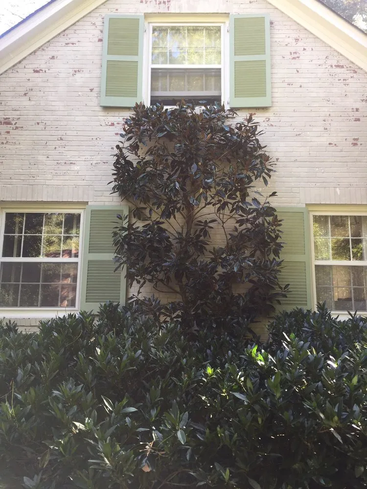 Top-rated yard maintenance for beautiful yards in Belmont, NC by Belmont Tree and Landscaping