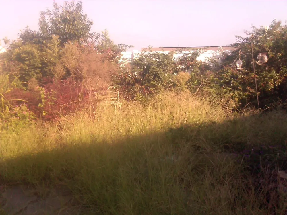 Custom garden landscaping in Belmont, NC - Belmont Tree and Landscaping