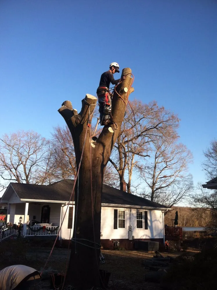 Local yard maintenance in Belmont, NC - Belmont Tree and Landscaping