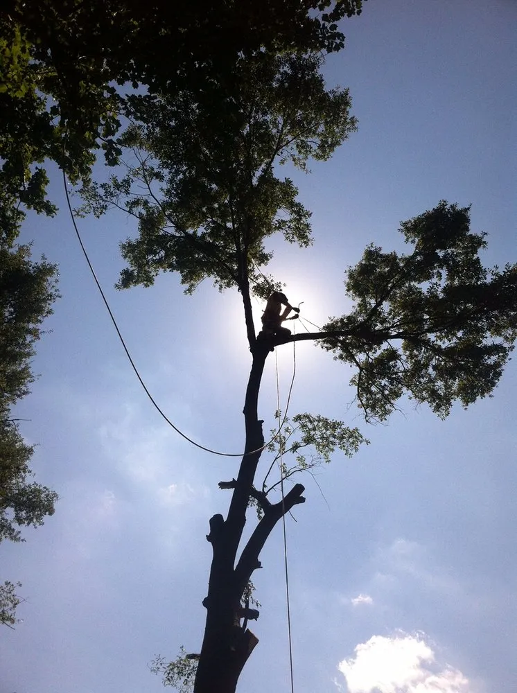 Trusted residential landscaping for homes in Belmont, NC by Belmont Tree and Landscaping