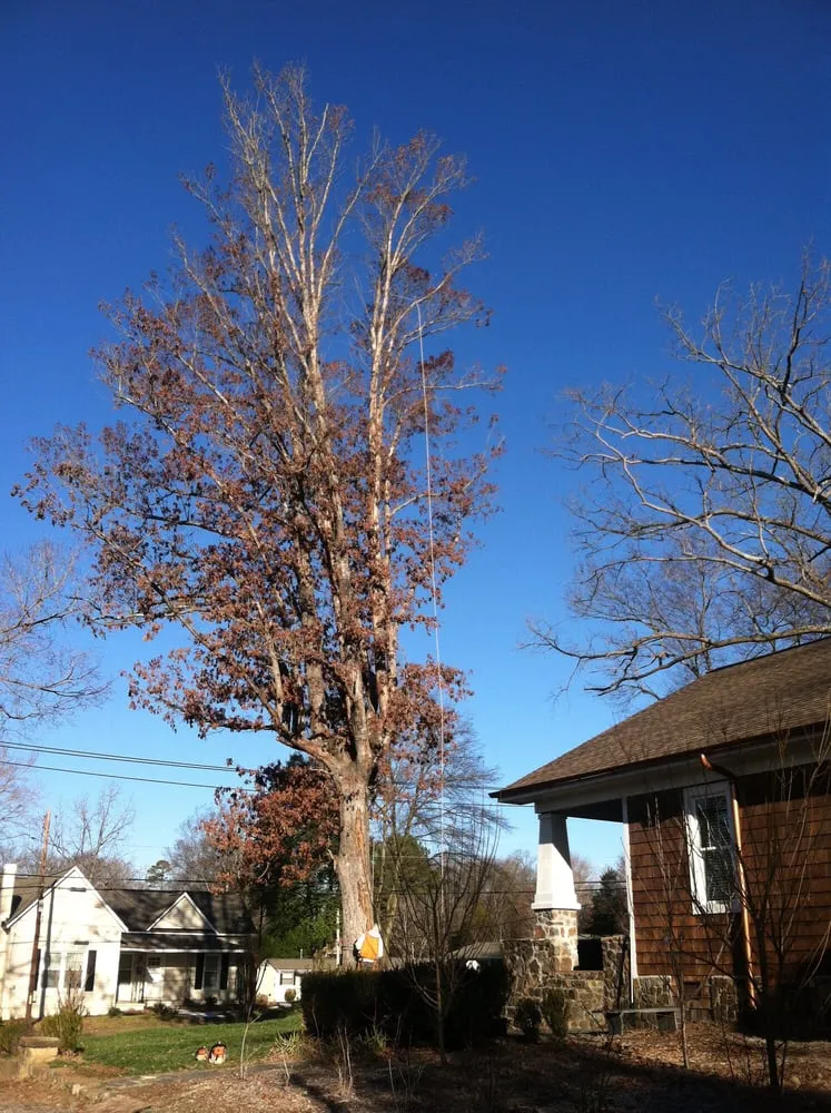 Reliable lawn mowing service experts serving Belmont, NC - Belmont Tree and Landscaping