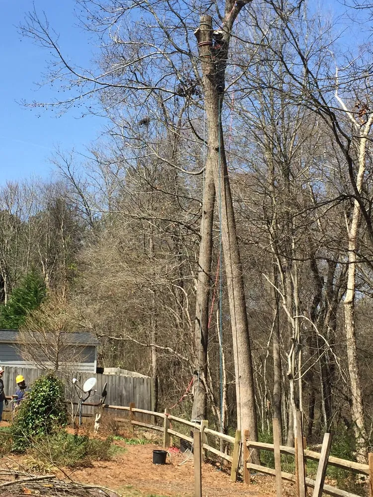 Professional yard cleanup service experts serving Belmont, NC - Belmont Tree and Landscaping