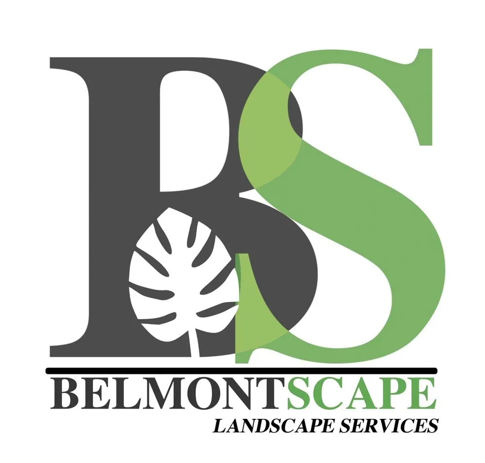 Professional yard cleanup service for outdoor upgrades in Homestead, FL by Belmontscape Landscape Services