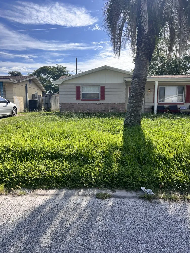 Affordable lawn mowing service for year-round maintenance in Holiday, FL by Beloved Lawns And Landscaping