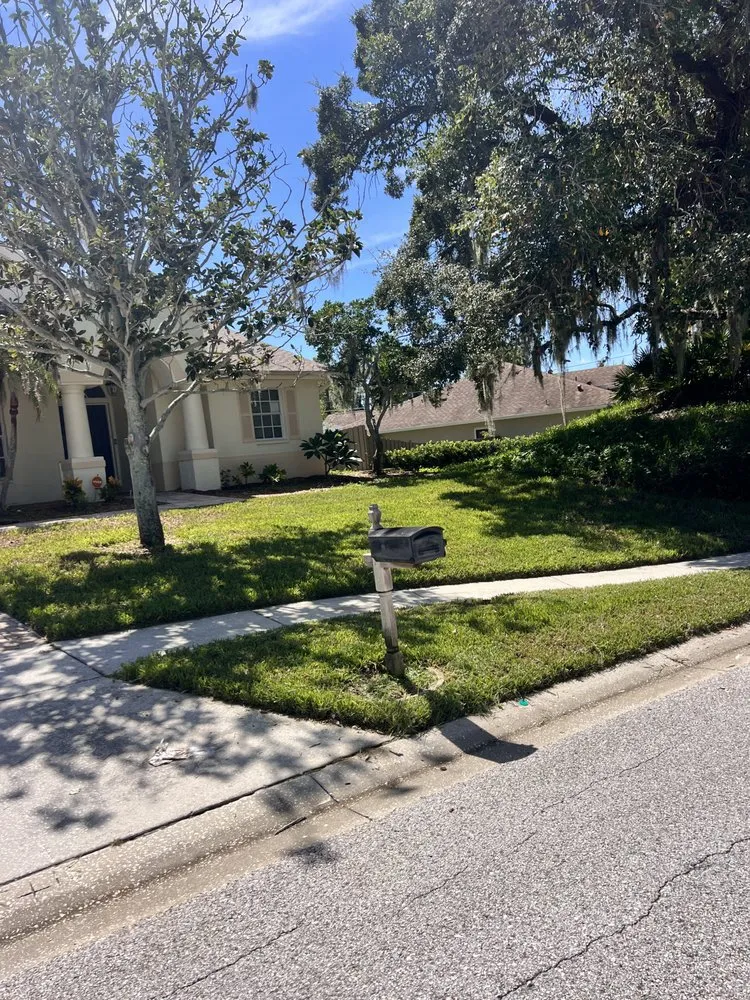 Trusted yard cleanup service experts serving Holiday, FL - Beloved Lawns And Landscaping