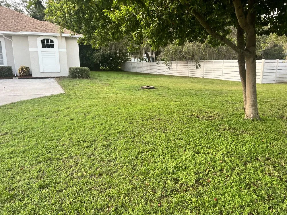 Local lawn mowing service experts serving Holiday, FL - Beloved Lawns And Landscaping